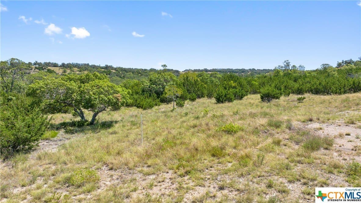 11.1 acres in Blanco County - photo 4