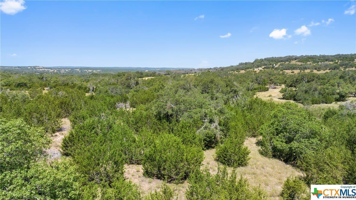 11.1 acres in Blanco County - photo 5