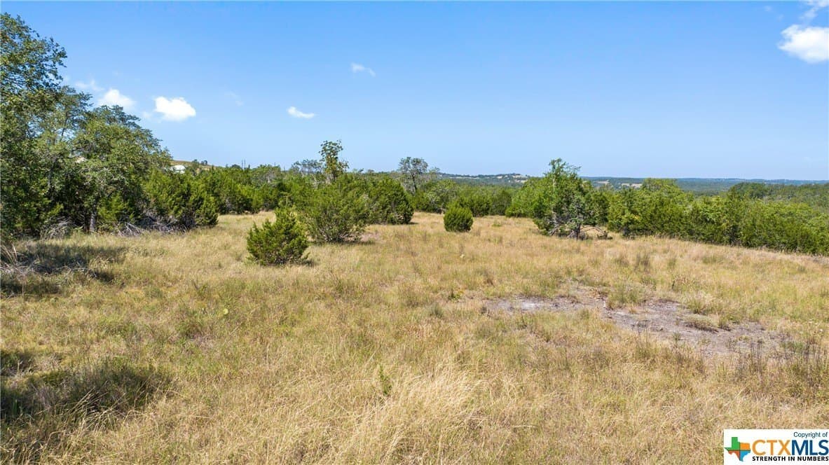 11.1 acres in Blanco County - photo 7
