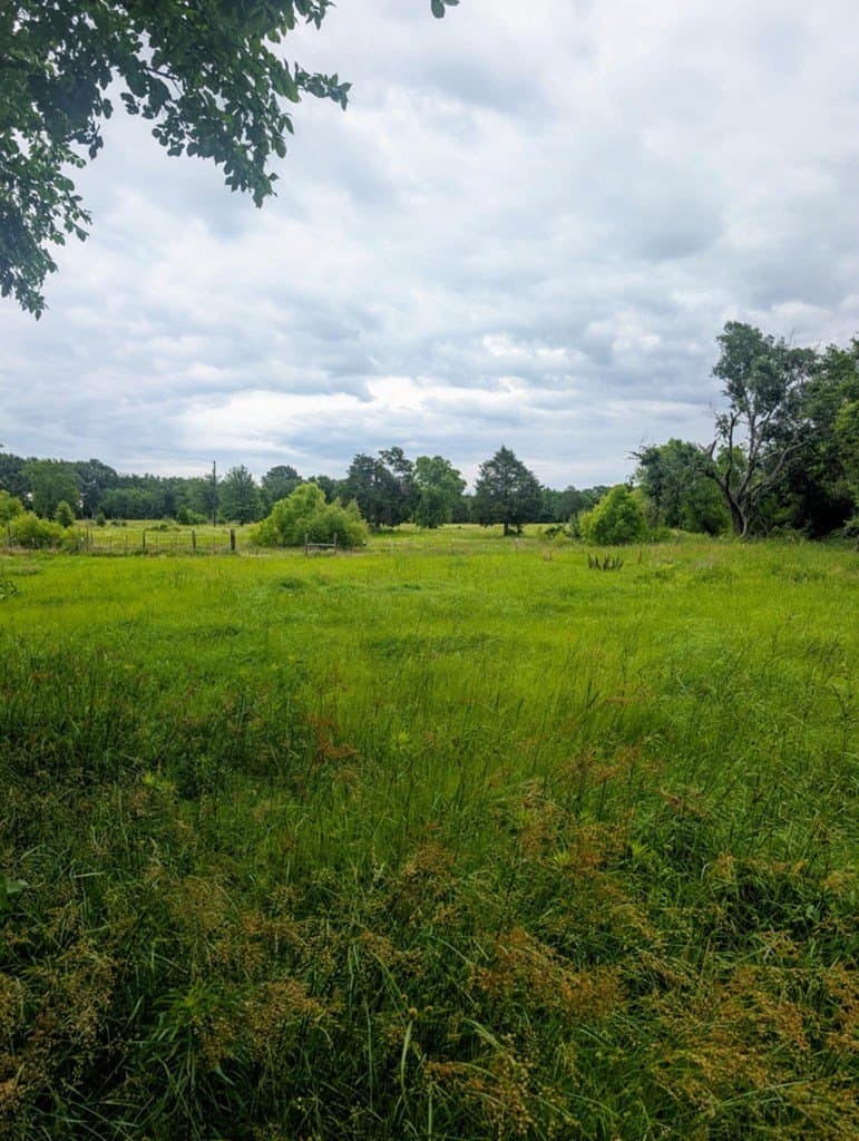 5.86 acres in Van Zandt County - photo 10