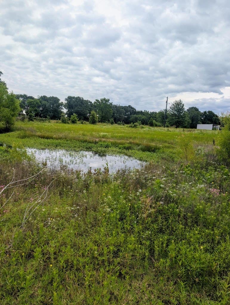5.86 acres in Van Zandt County - photo 12