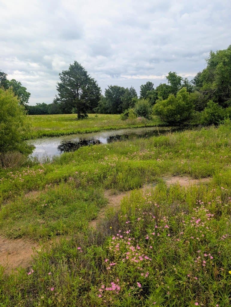 5.86 acres in Van Zandt County - photo 11