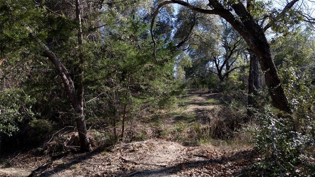 90.1 acres in Fayette County - photo 22