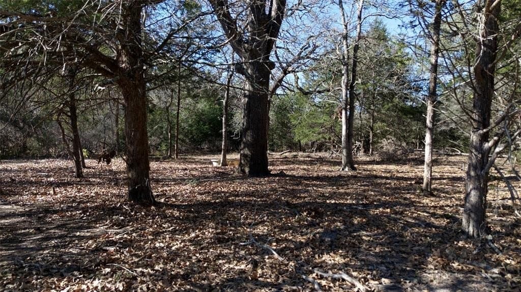 90.1 acres in Fayette County - photo 29
