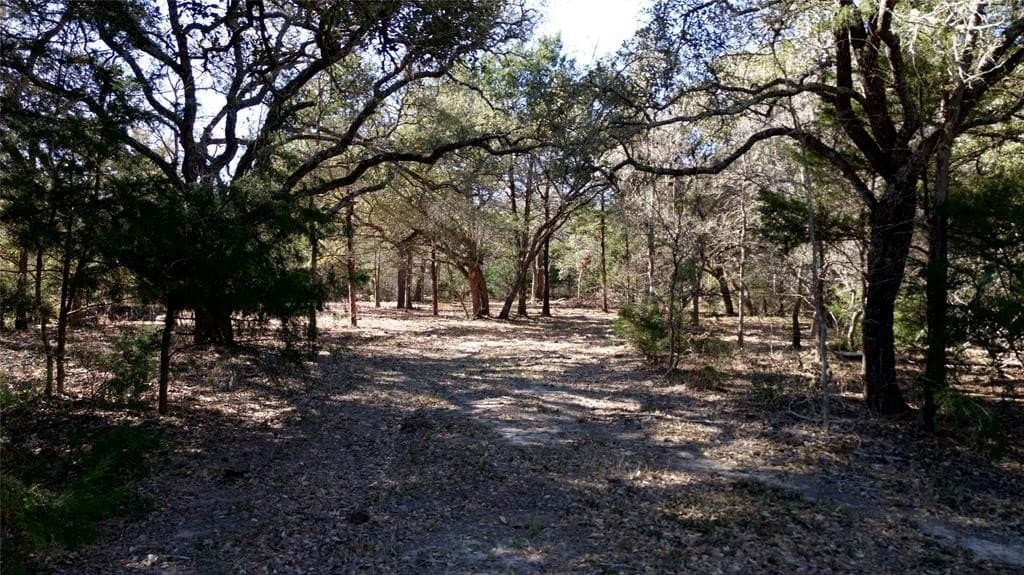 90.1 acres in Fayette County - photo 28
