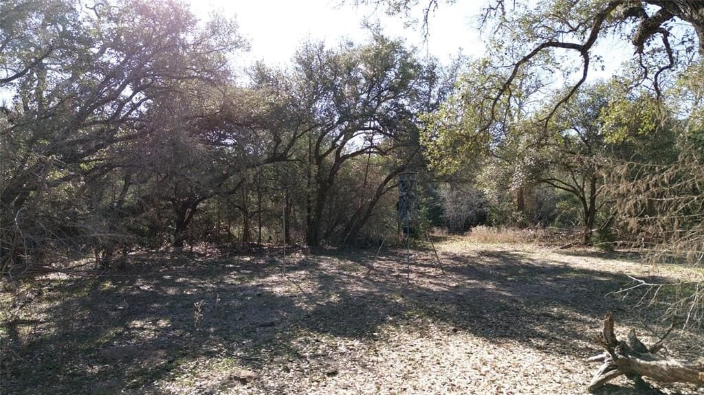 90.1 acres in Fayette County - photo 19