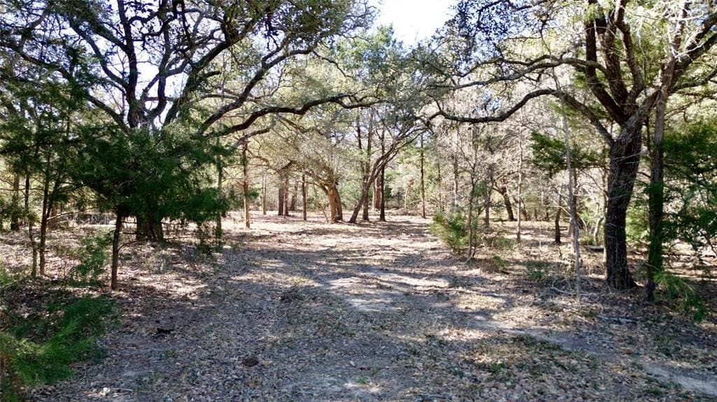 90.1 acres in Fayette County - photo 27