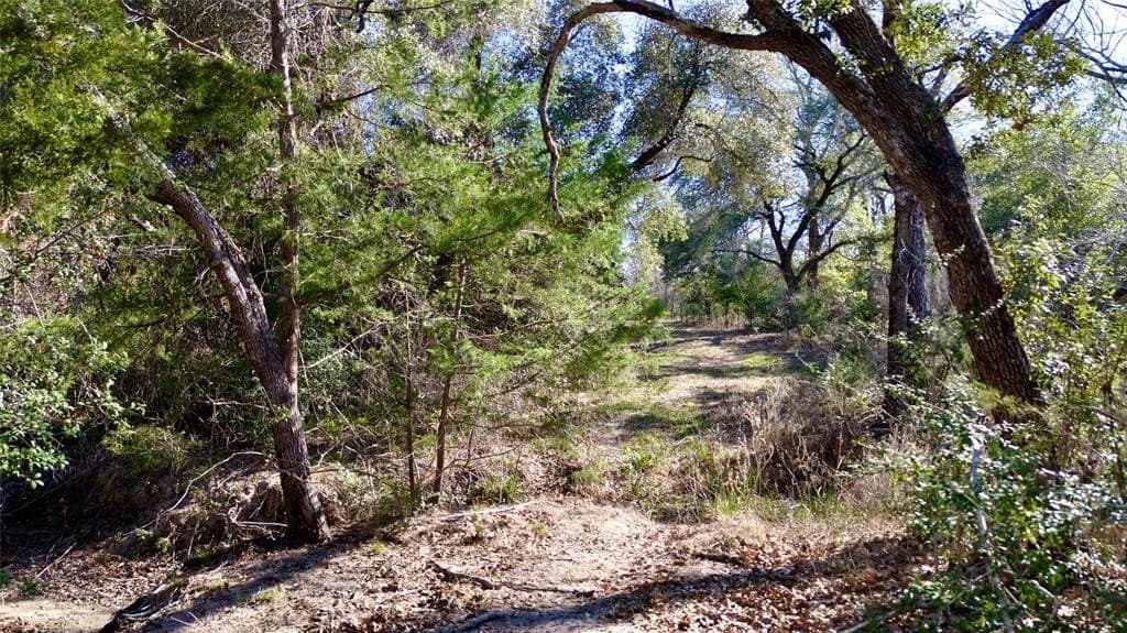 90.1 acres in Fayette County - photo 21