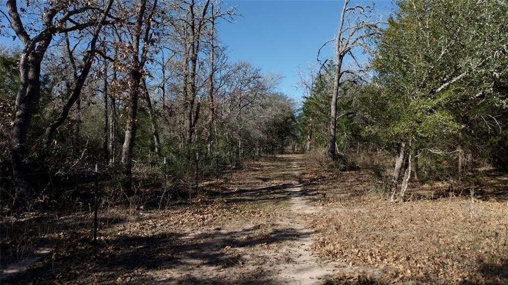 90.1 acres in Fayette County - photo 26
