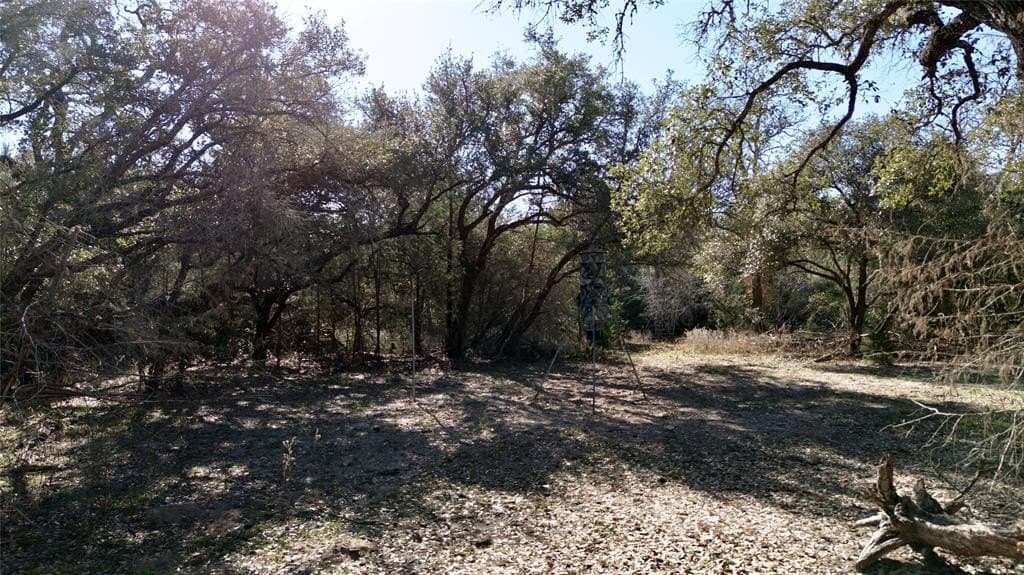 90.1 acres in Fayette County - photo 18