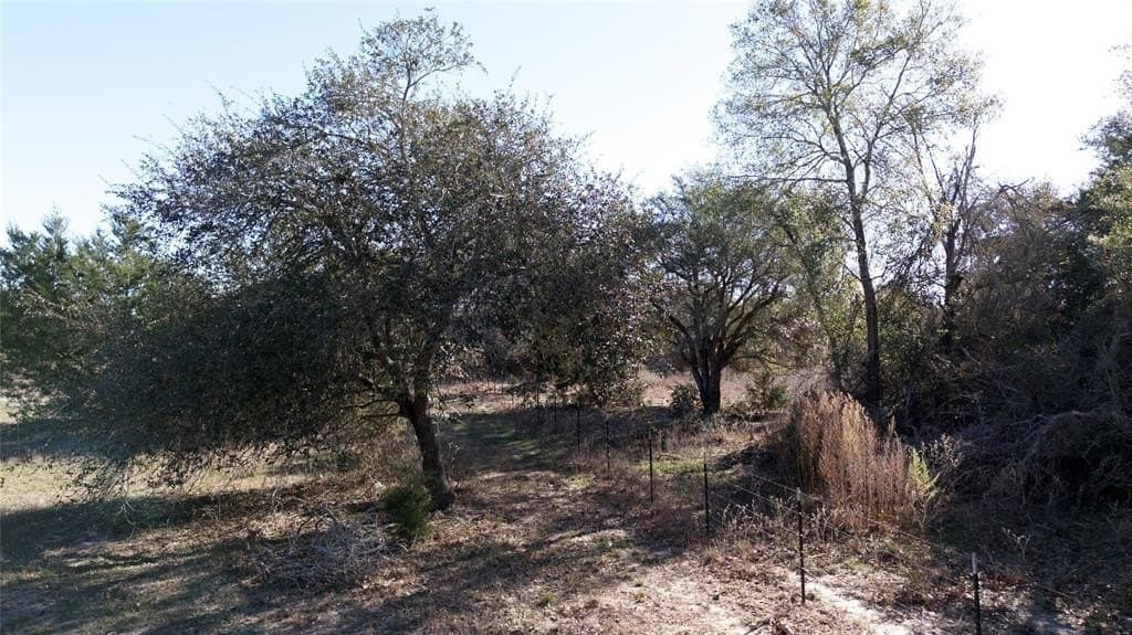 90.1 acres in Fayette County - photo 24