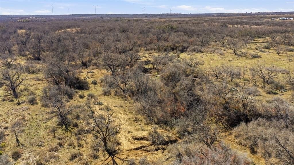 38 acres in Shackelford County - photo 10