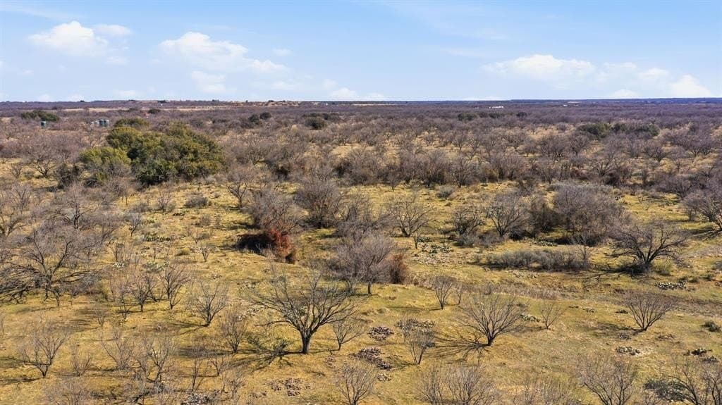 38 acres in Shackelford County - photo 9