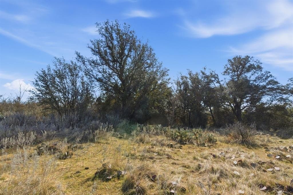 38 acres in Shackelford County - photo 7