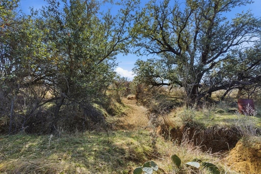 38 acres in Shackelford County - photo 6