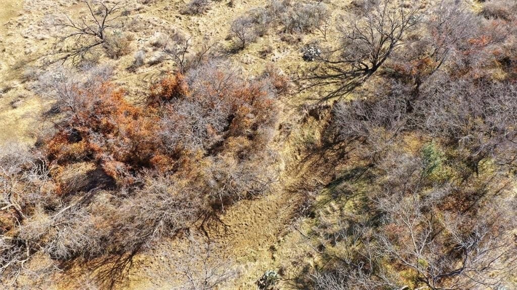 38 acres in Shackelford County - photo 11
