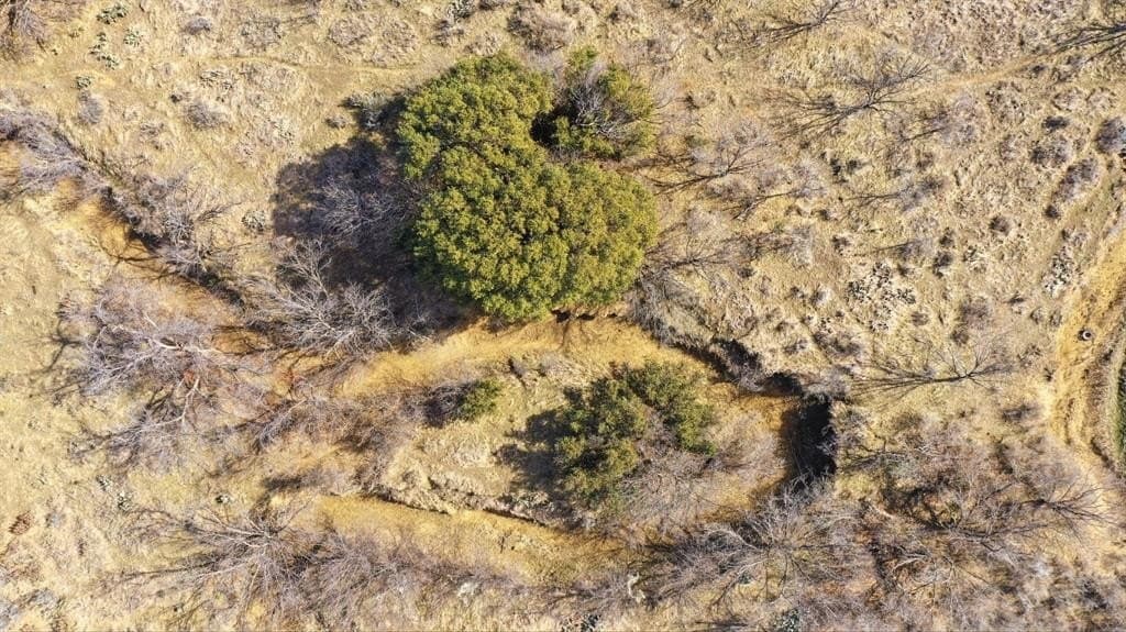 38 acres in Shackelford County - photo 12