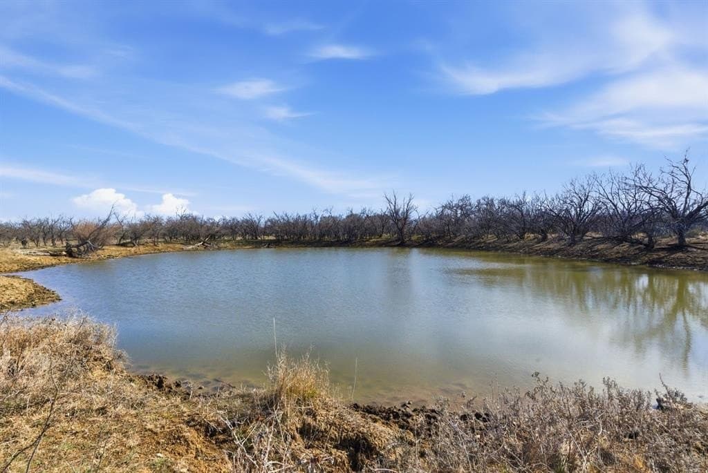 38 acres in Shackelford County - photo 19