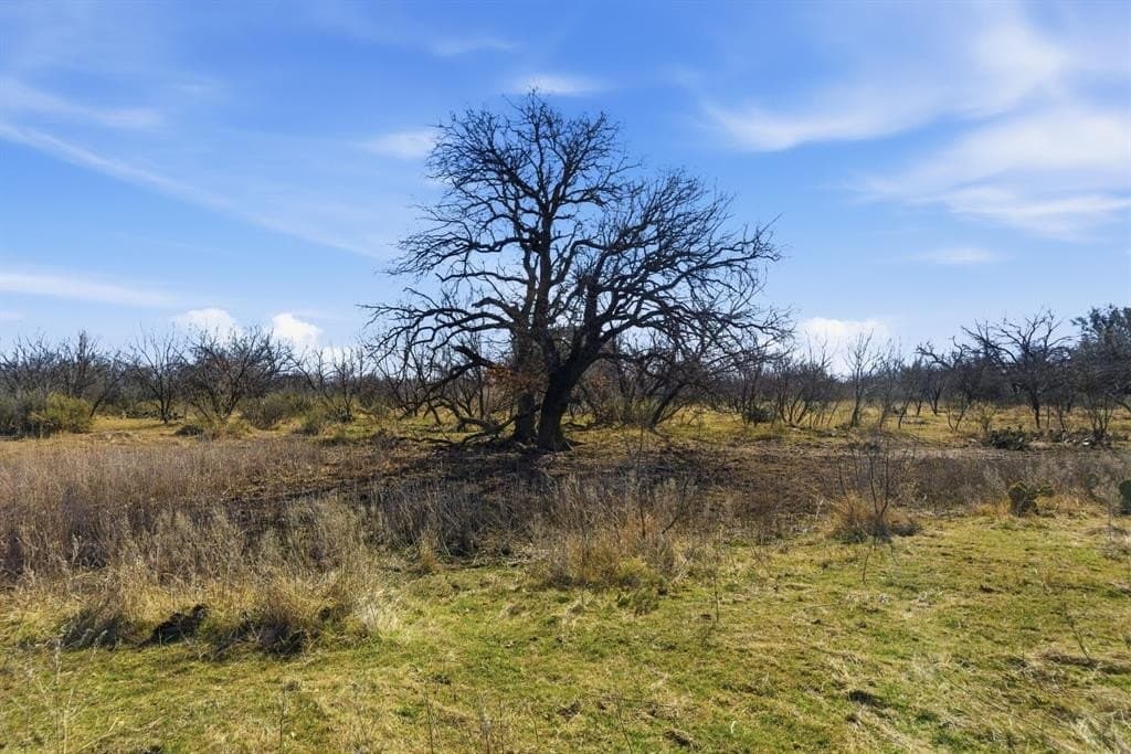38 acres in Shackelford County - photo 8
