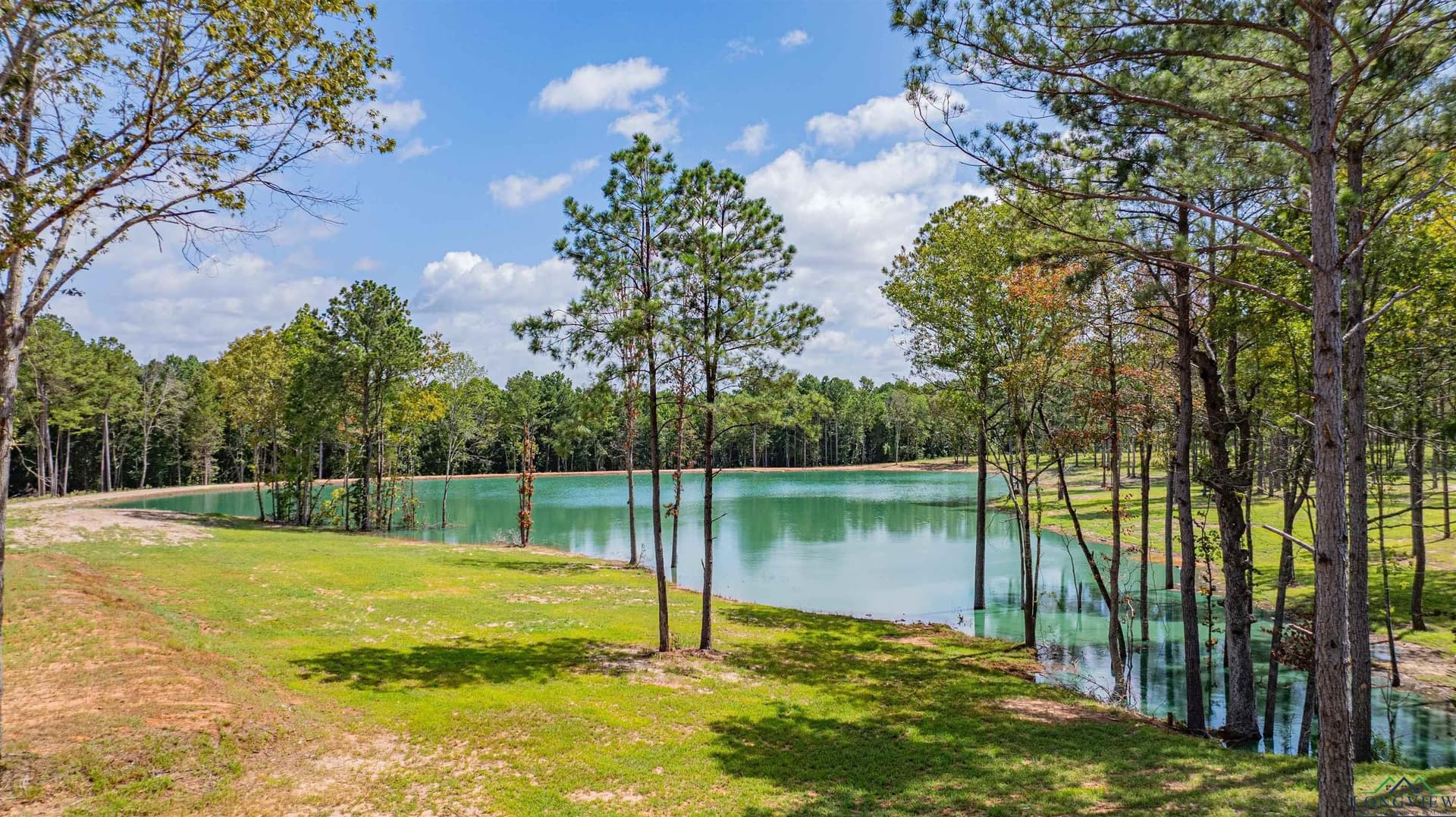49.8 acres in Texas County - photo 21