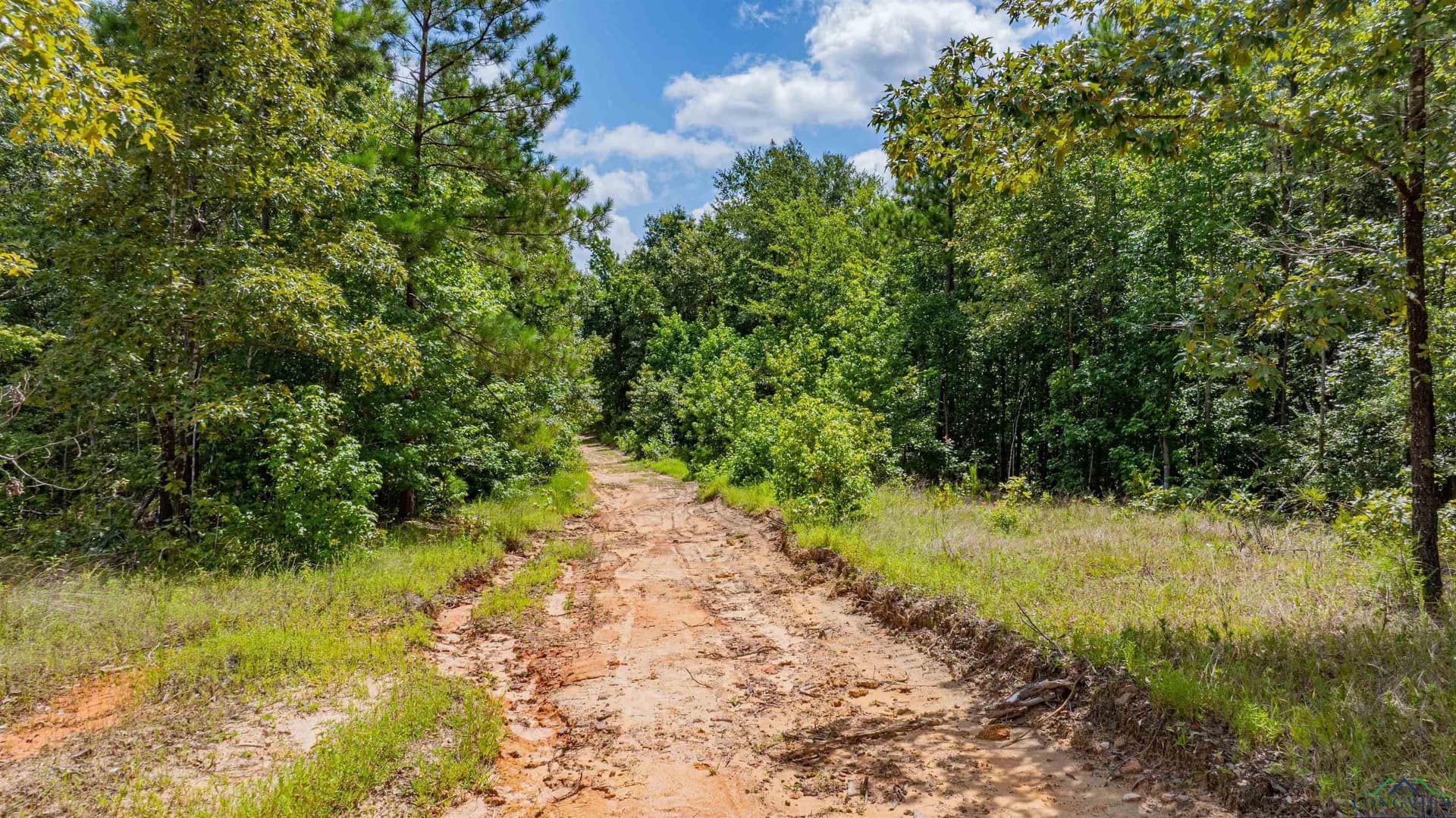 49.8 acres in Texas County - photo 28