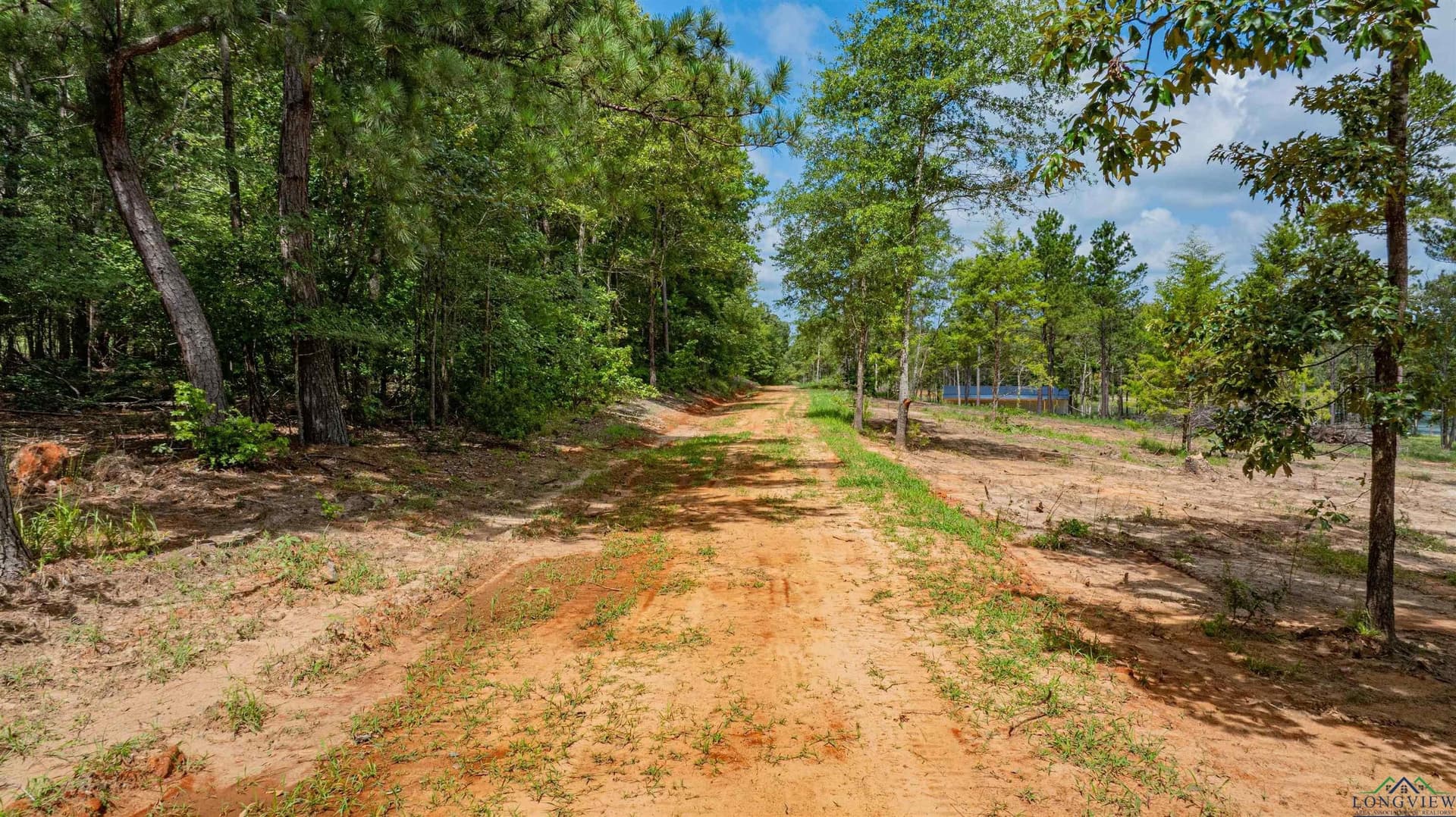 49.8 acres in Texas County - photo 31