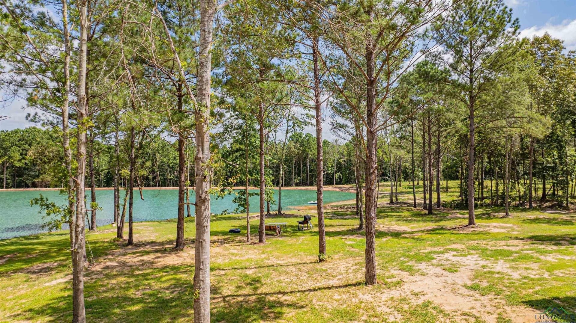 49.8 acres in Texas County - photo 3