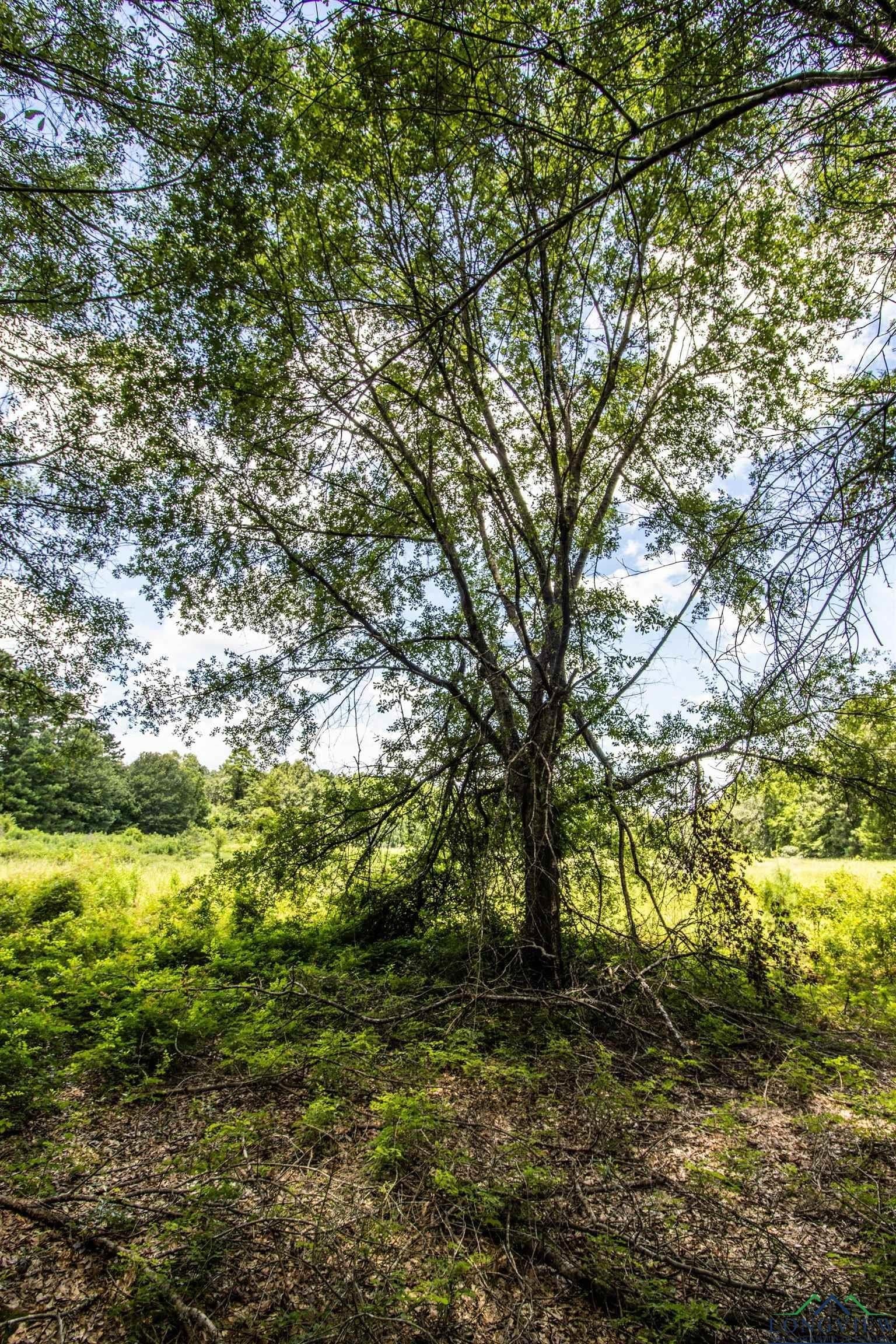 10.39 acres in Rusk County - photo 6