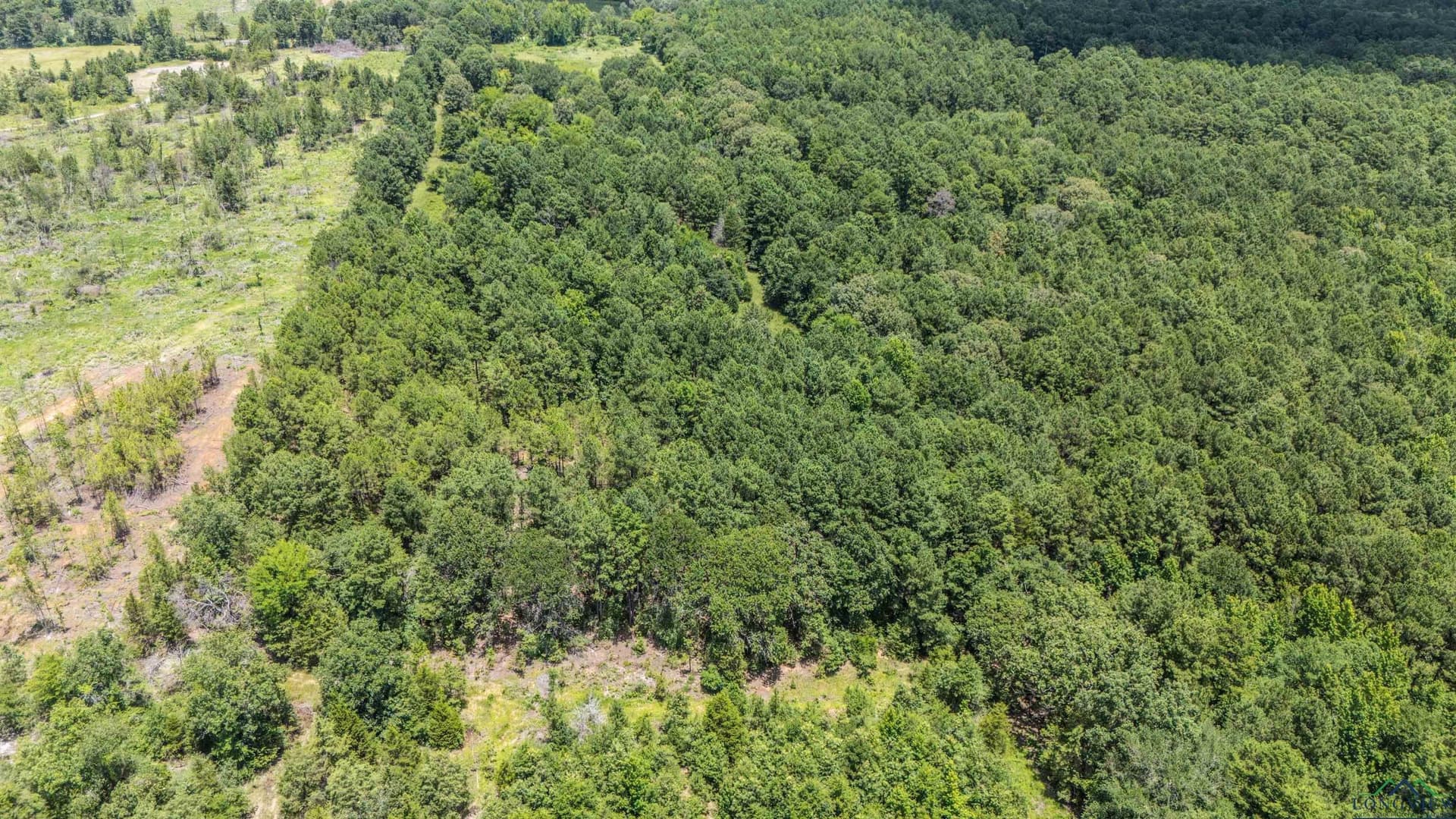 10.39 acres in Rusk County - photo 10