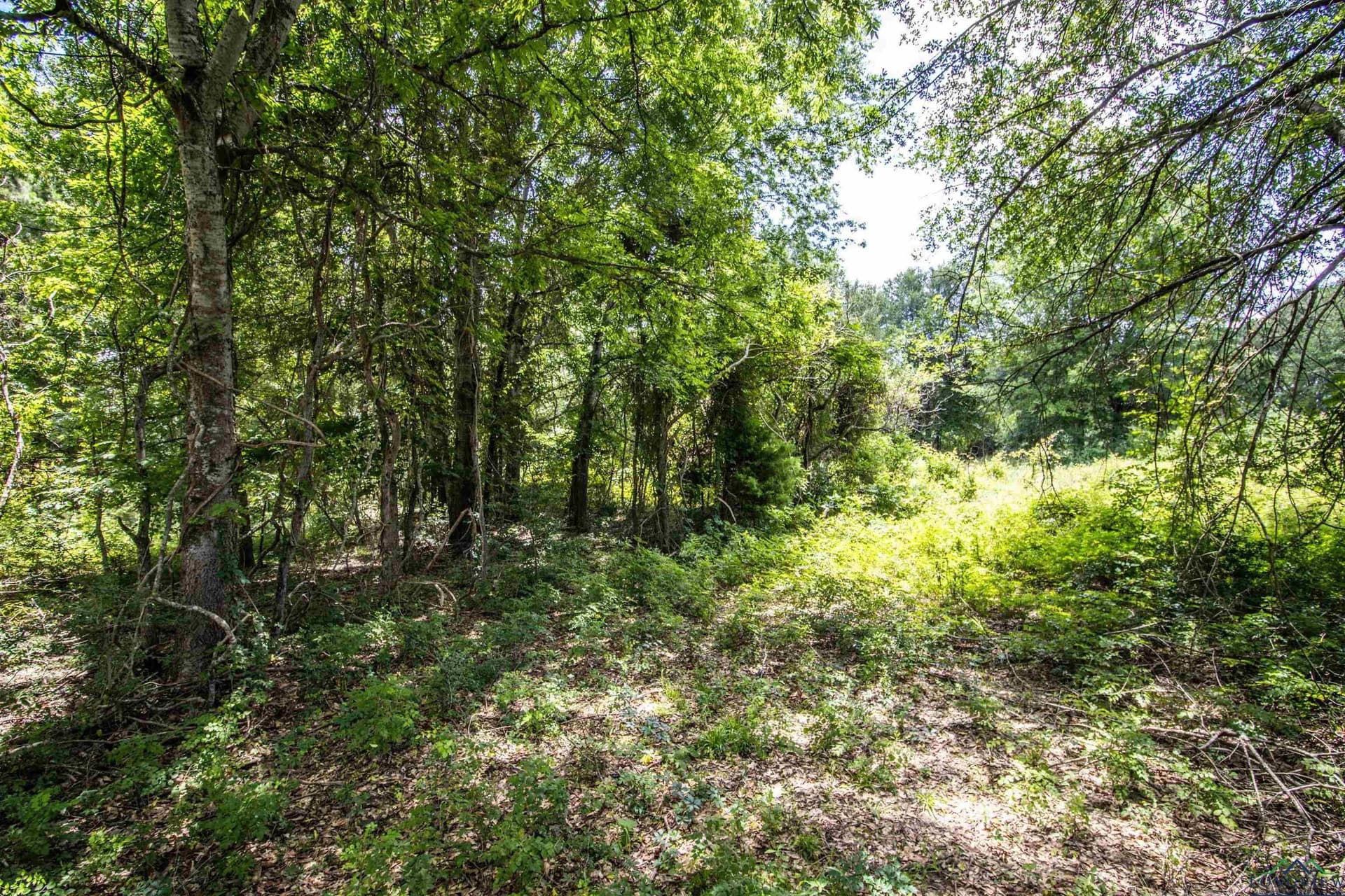 10.39 acres in Rusk County - photo 5