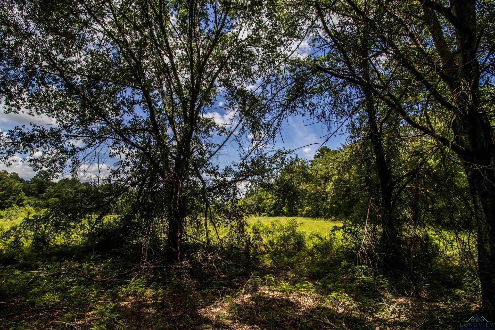 10.39 acres in Rusk County - photo 4
