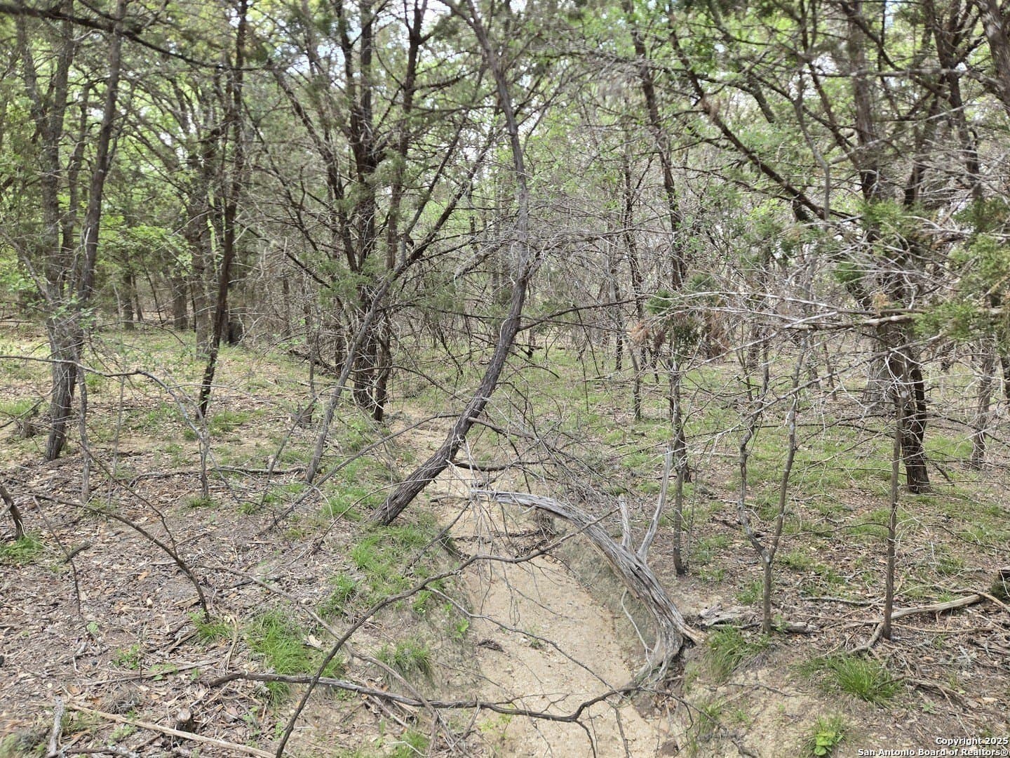 2 acres in Bandera County - photo 22