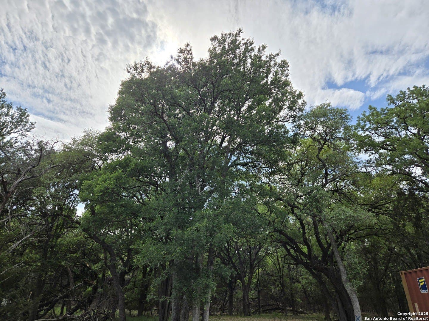 2 acres in Bandera County - photo 25