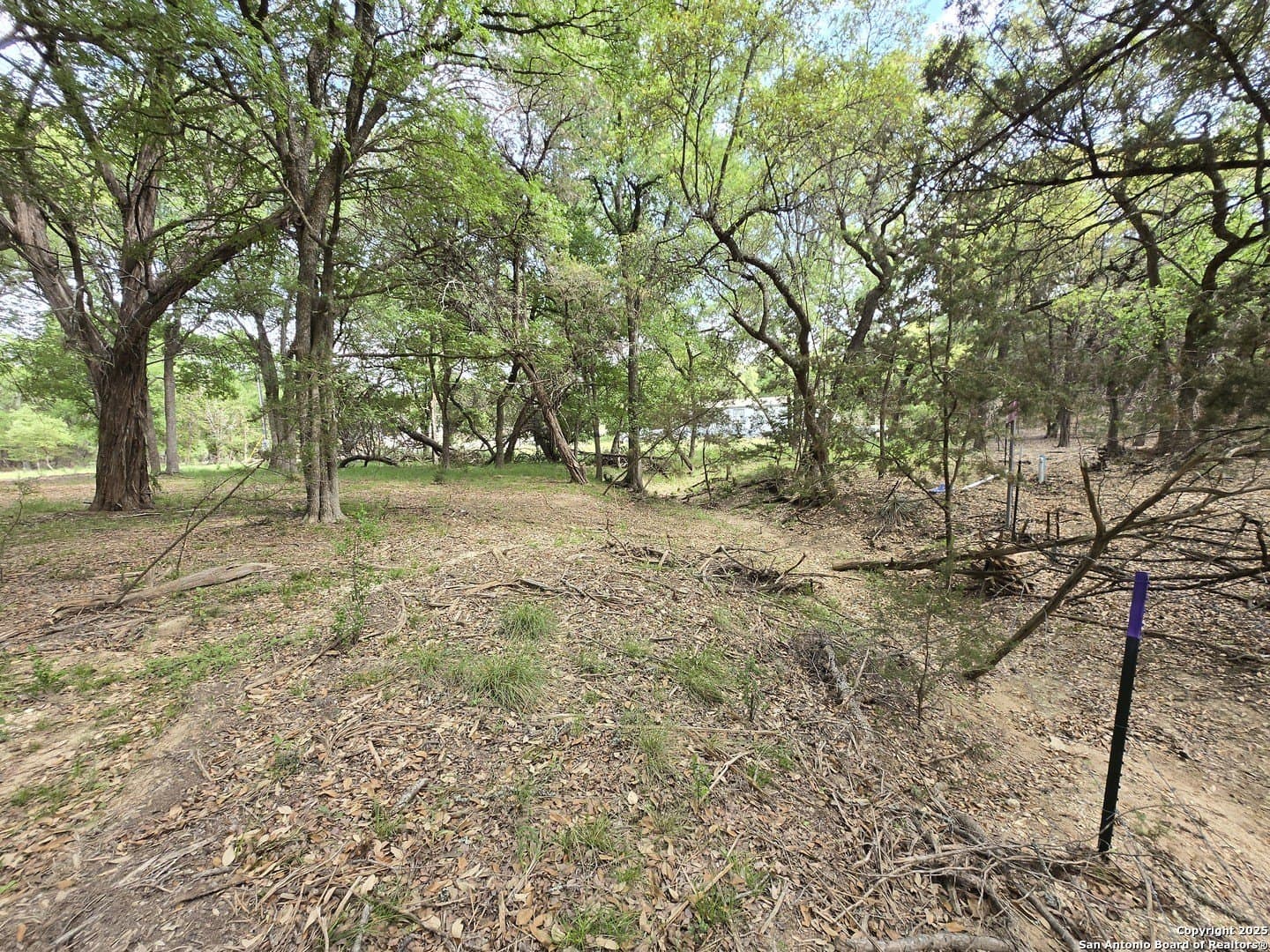 2 acres in Bandera County - photo 18