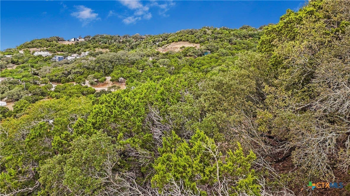 0.18 acres in Comal County - photo 17