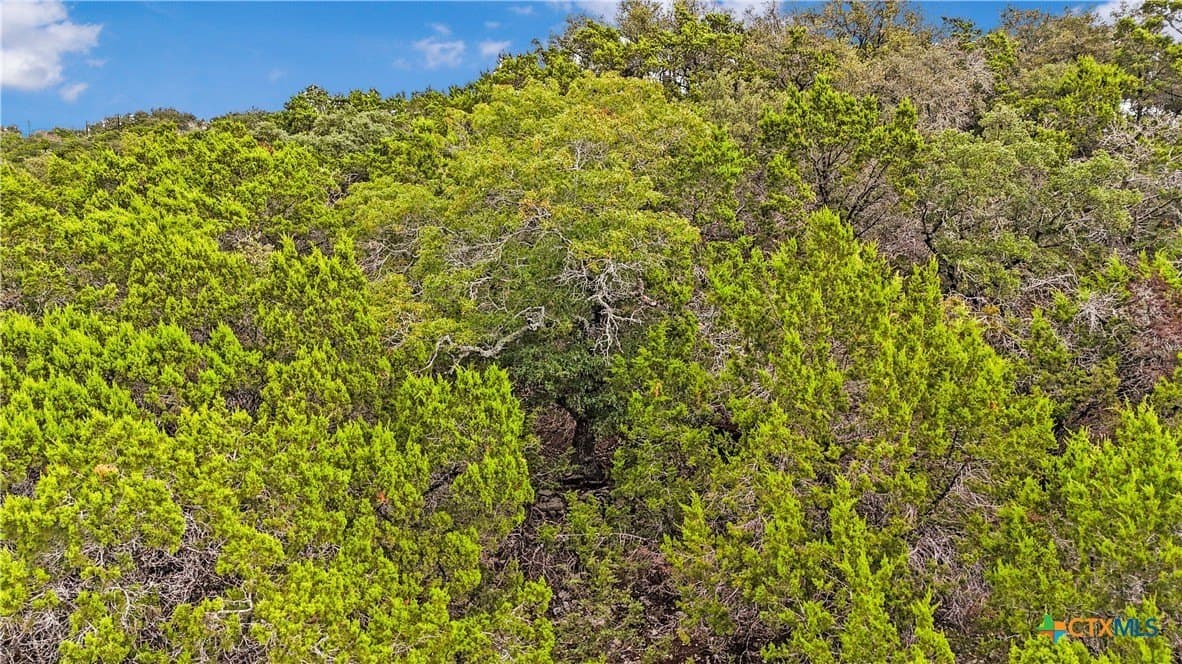 0.18 acres in Comal County - photo 8