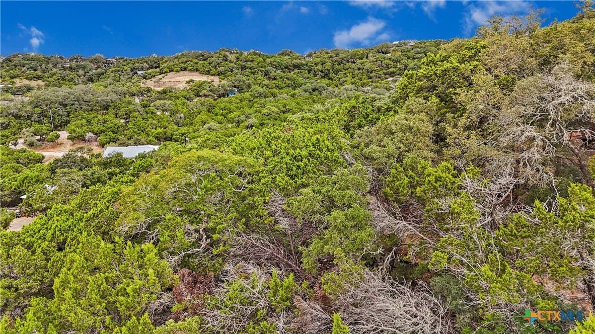 0.18 acres in Comal County - photo 15