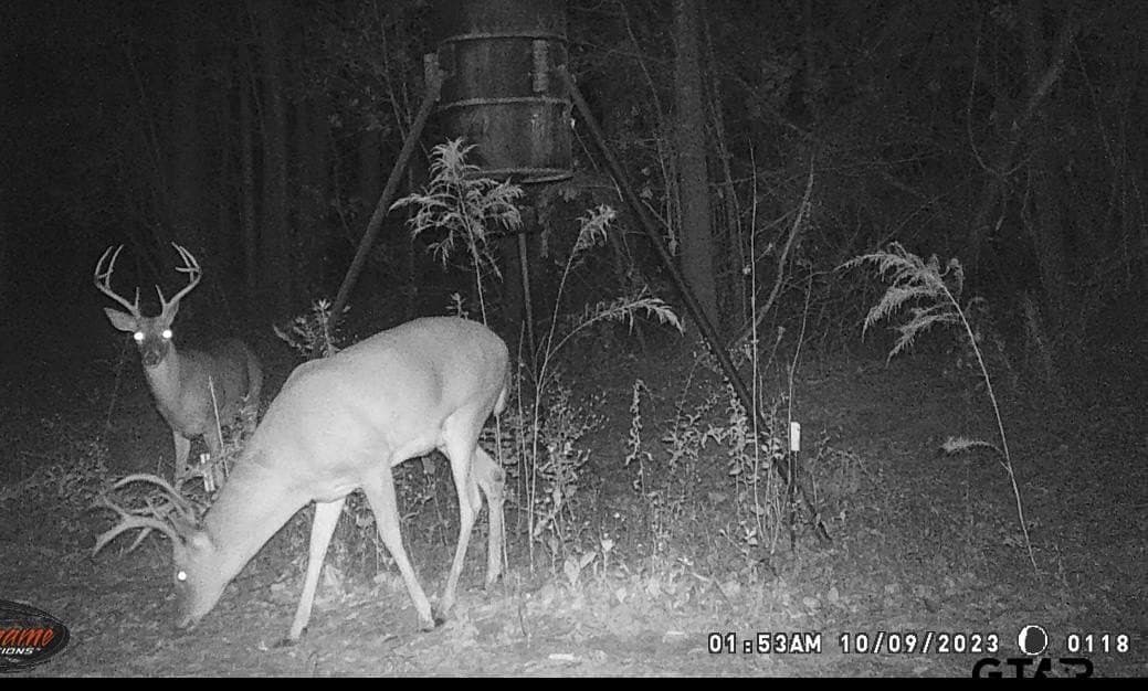 40.12 acres in Cherokee County - photo 35
