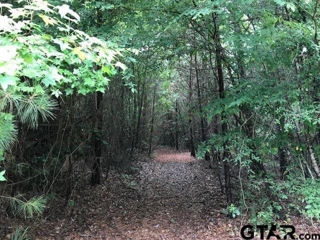40.12 acres in Cherokee County - photo 18