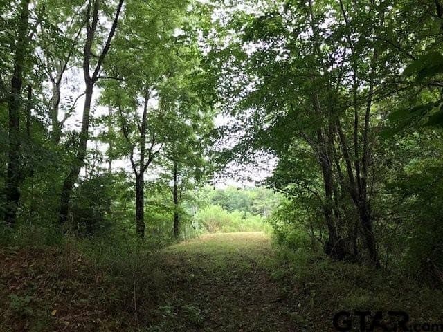 40.12 acres in Cherokee County - photo 20