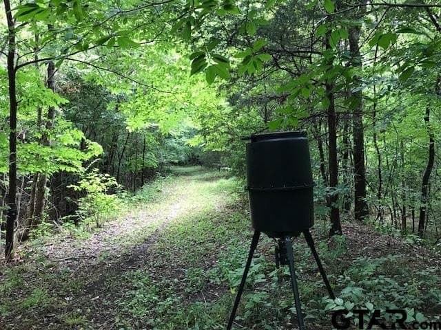 40.12 acres in Cherokee County - photo 16