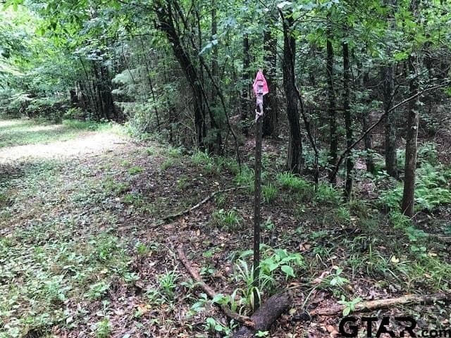40.12 acres in Cherokee County - photo 19
