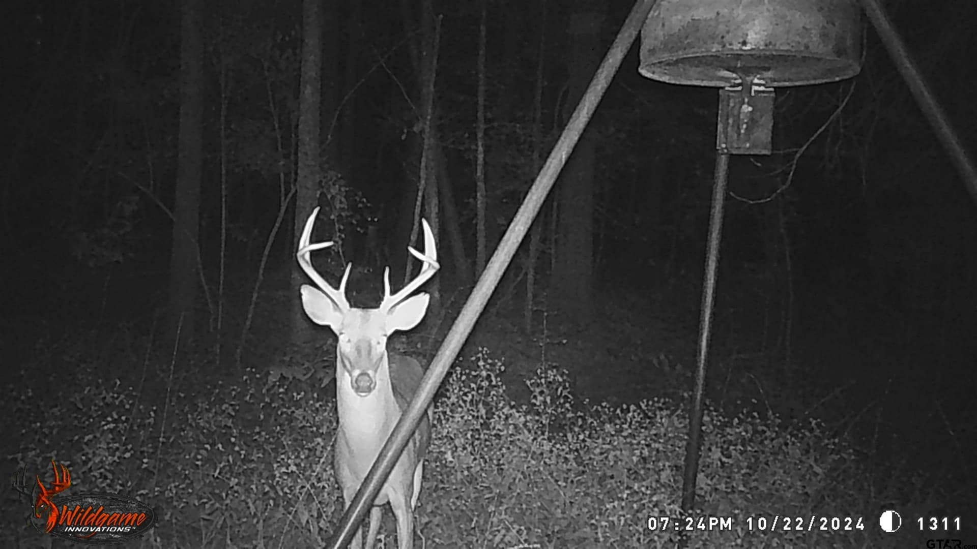 40.12 acres in Cherokee County - photo 37