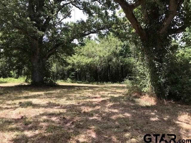 40.12 acres in Cherokee County - photo 15