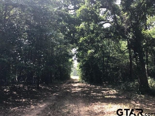 40.12 acres in Cherokee County - photo 17