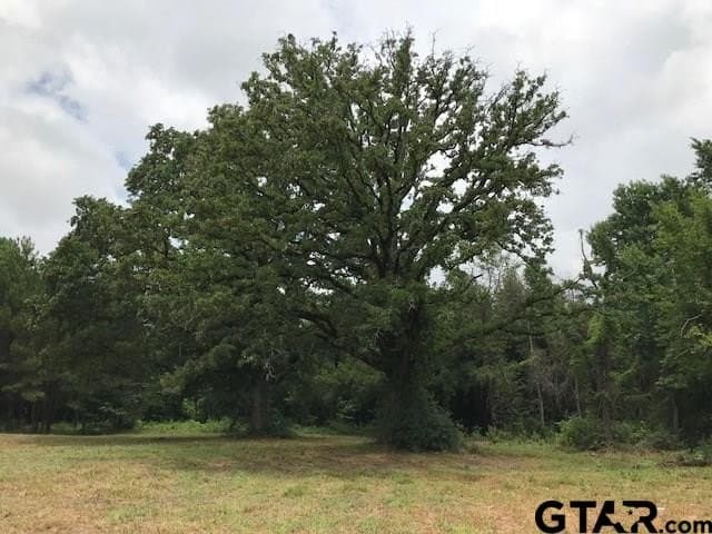 40.12 acres in Cherokee County - photo 14