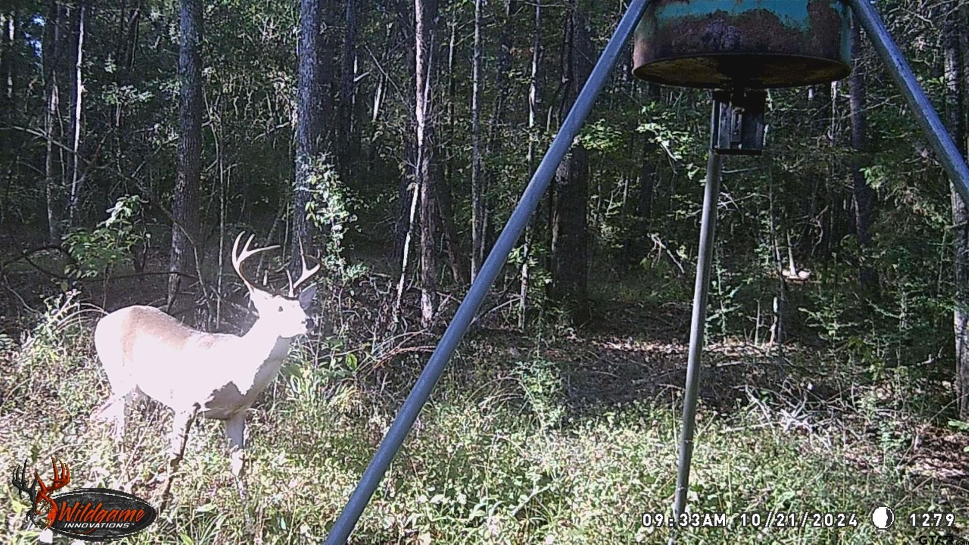 40.12 acres in Cherokee County - photo 38