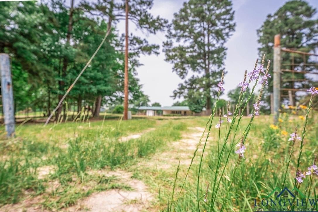 42.45 acres in Smith County - photo 34