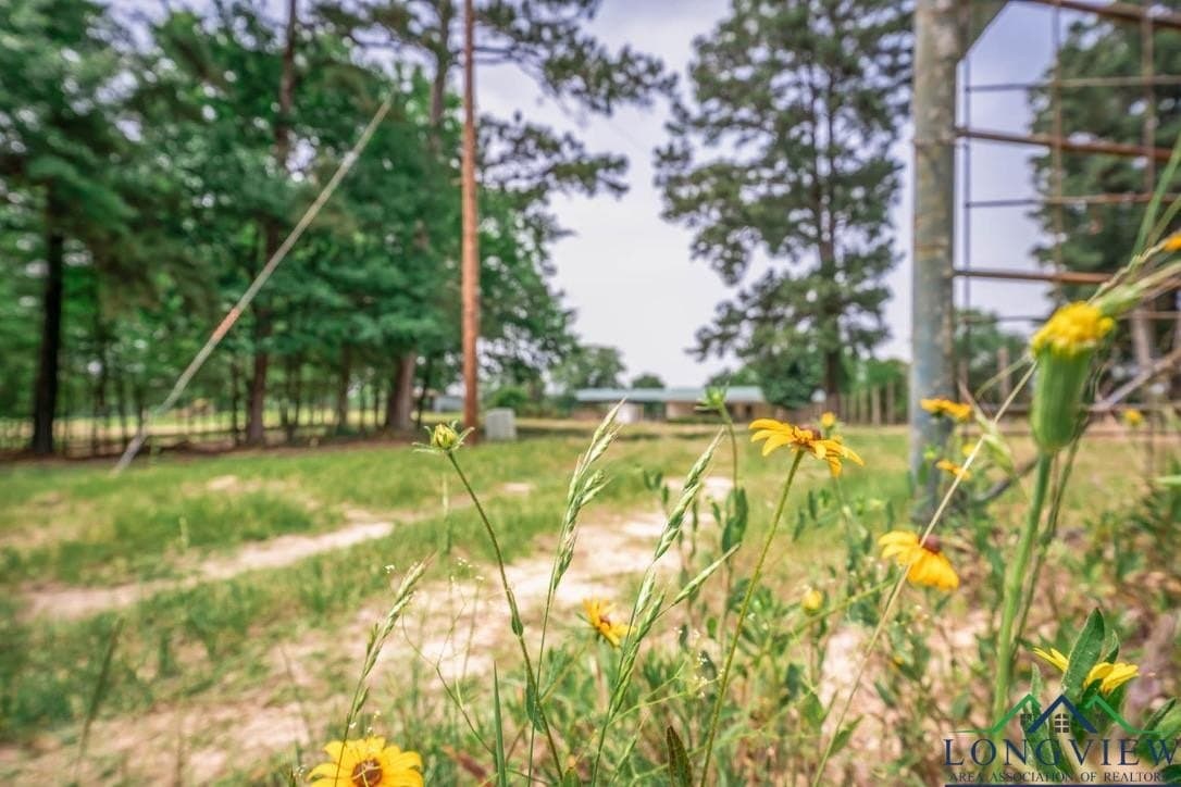 42.45 acres in Smith County - photo 36