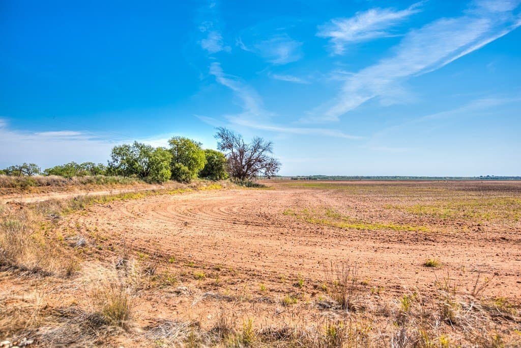 163.41 acres in Runnels County - photo 3